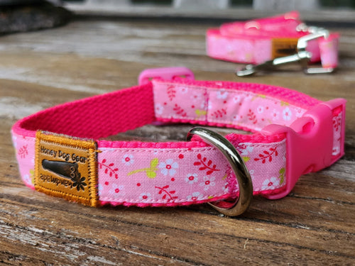 Pretty in Pink Collar