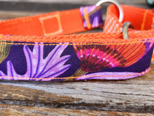 Purple Orange Martingale Collar