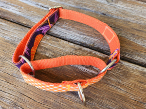 Purple Orange Martingale Collar